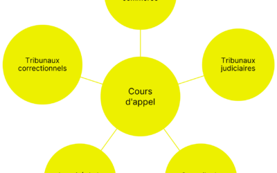 l’importance de l’IA